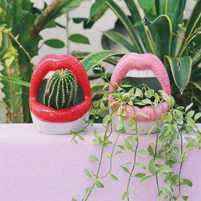 Abstract Lips Shaped Flower Pot & Vase  Quirky Modern Room Decor